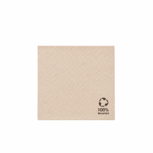 Serviettes ecolabel 20 X 20cm 2 plis